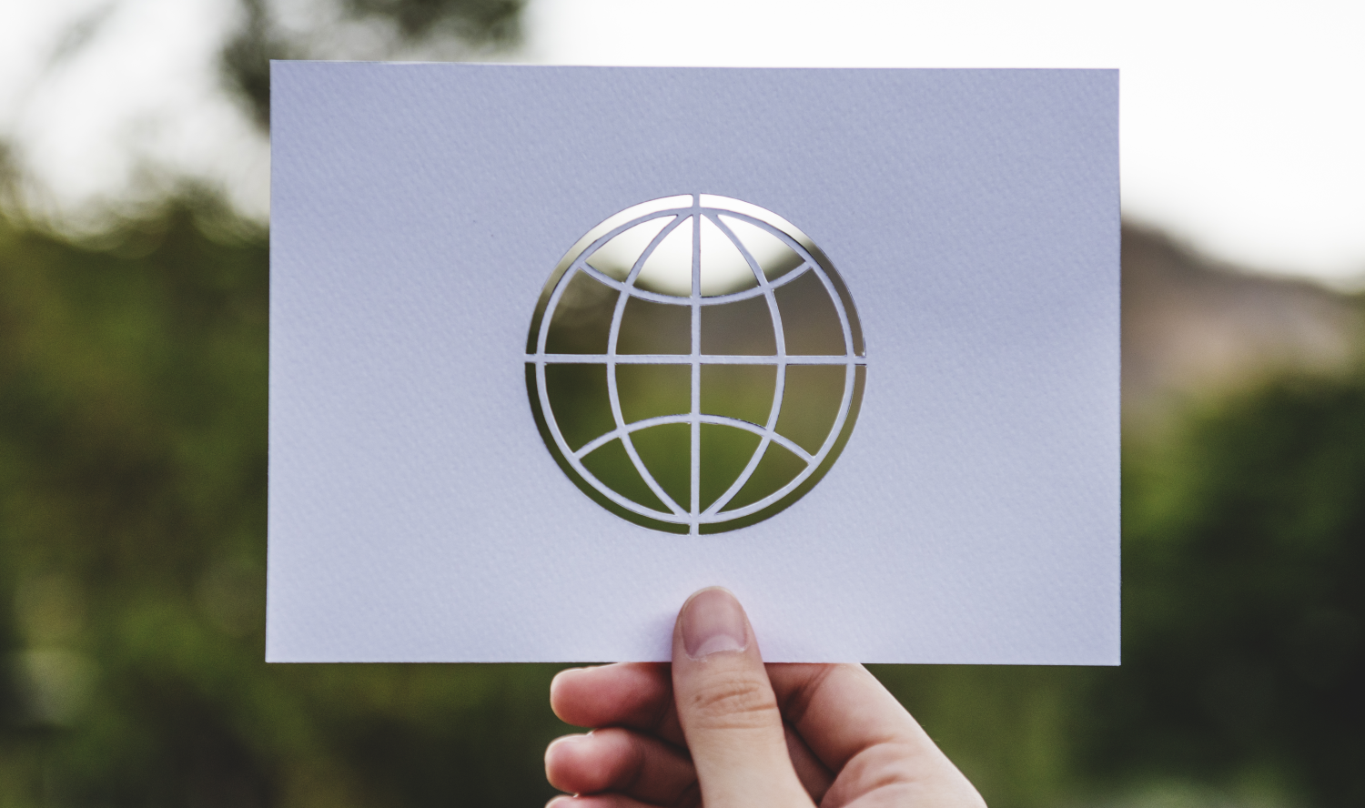 Certificado con Aval